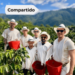 Coffee Tour Medellín: cafetal urbano con teleférico, barrio La Sierra y proceso artesanal completo