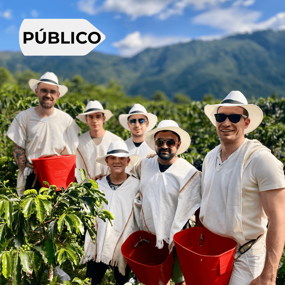 Coffee tour - Medellín
