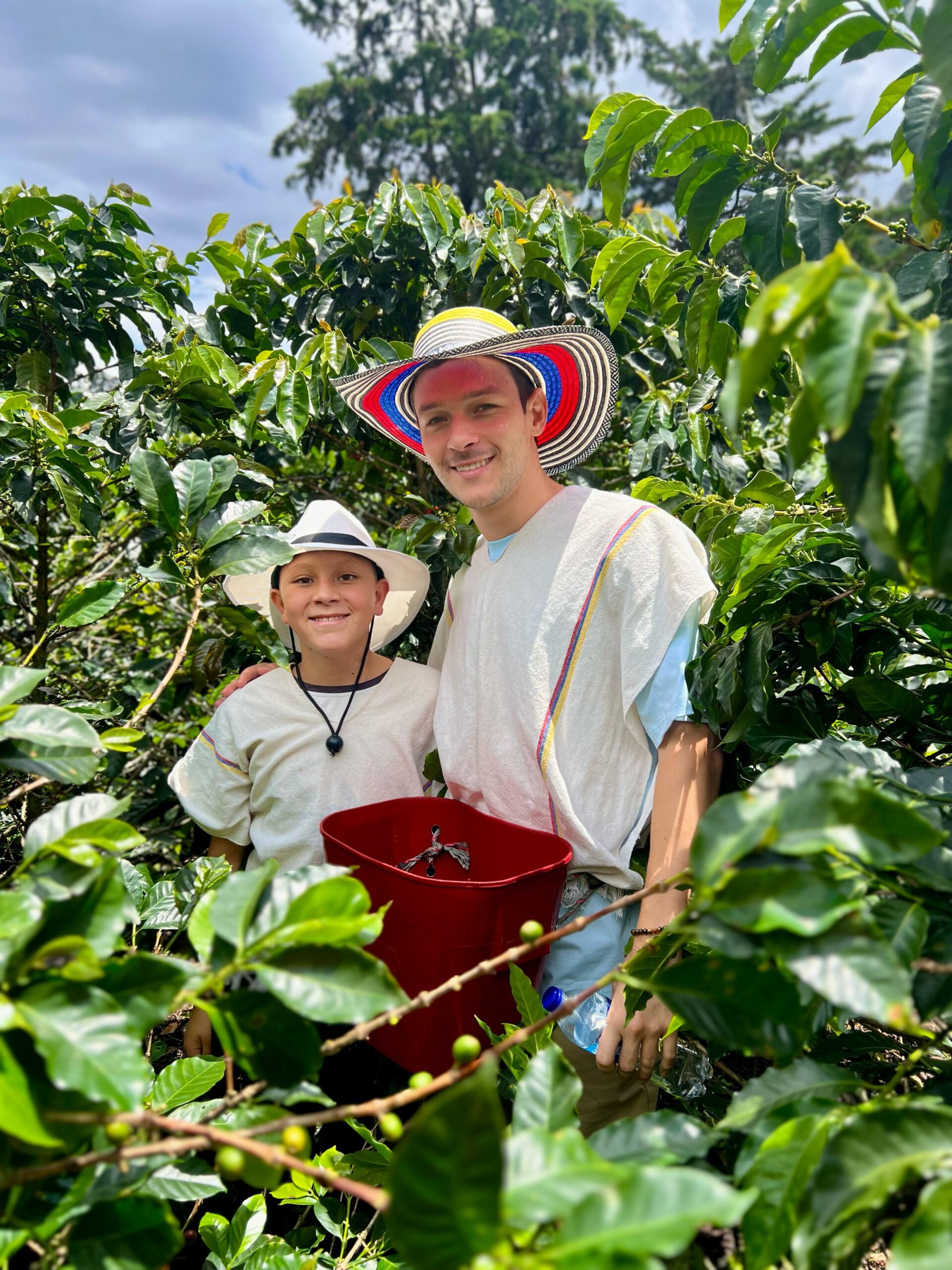 Coffee Tour Medellín: cafetal urbano con teleférico, barrio La Sierra y proceso artesanal completo - Imagen 4