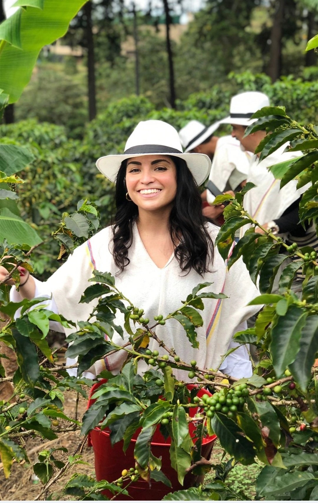 Coffee Tour Medellín: cafetal urbano con teleférico, barrio La Sierra y proceso artesanal completo - Imagen 3